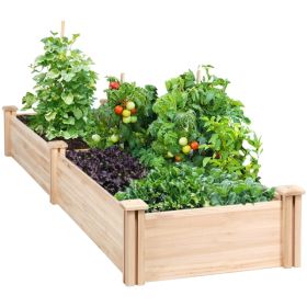 Divisible Planter Box For Home Vegetable Flower, 95inch L X 25inch W X 11inch H, Wood